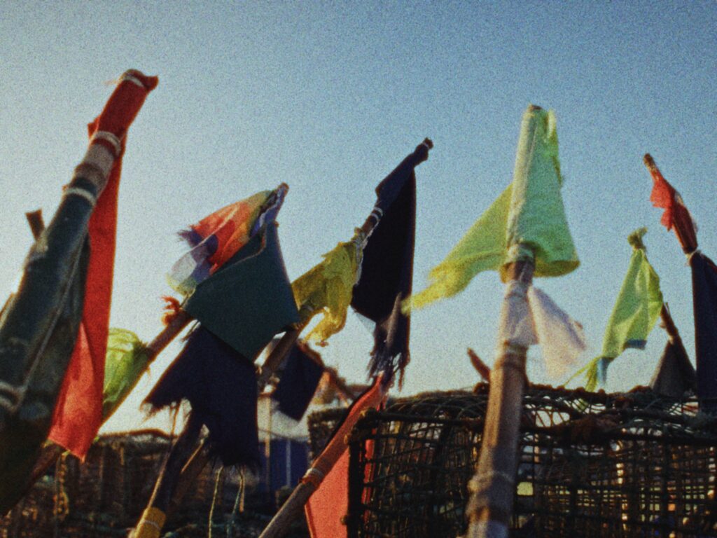 Colorist JANINA GRULICH