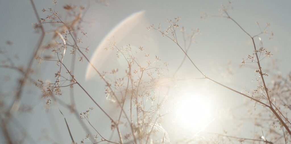 Color Grading JANINA GRULICH