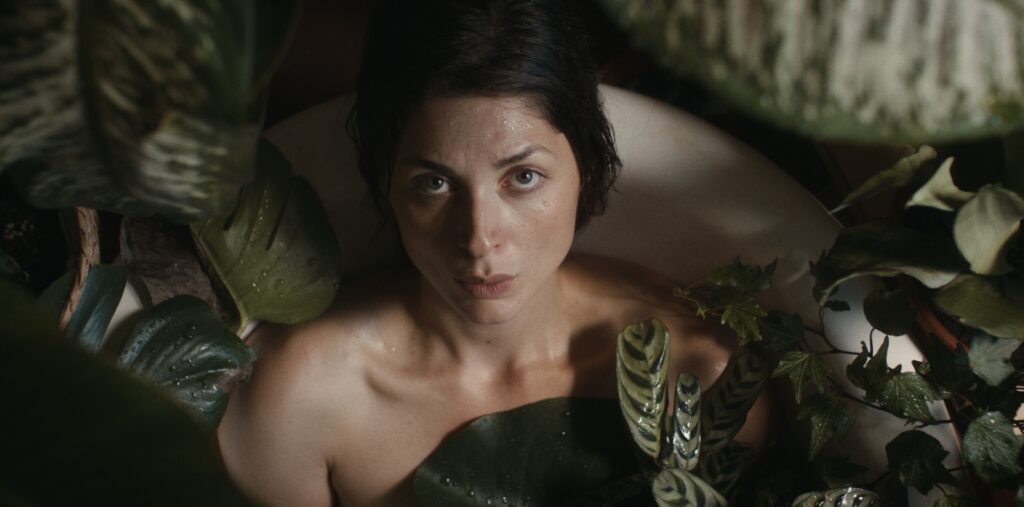 Color Grading Janina Grulich