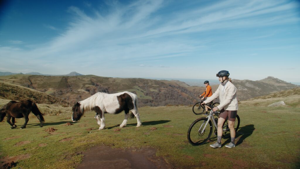 Color Grading Janina Grulich Commercial